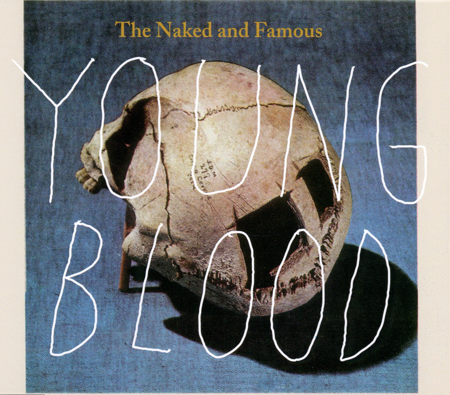 The Naked And Famous – Young Blood