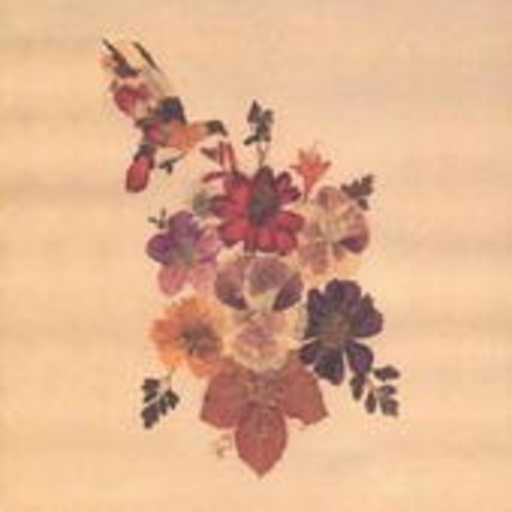 Lone Pigeon – Concubine Rice