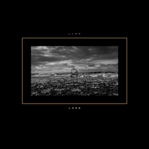 Llnn – Loss