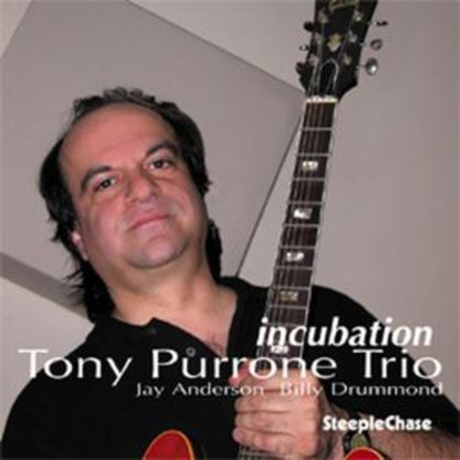 Tony Purrone Trio – Incubation