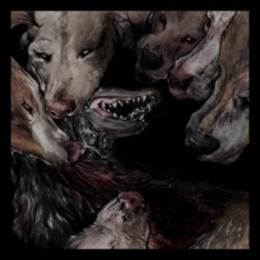 Okkultokrati – Night Jerks
