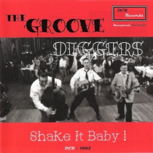 The Groove Diggers – Shake It Baby