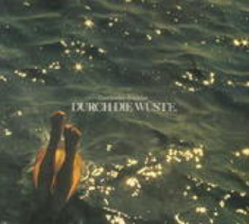 Roedelius – Durch die Wüste