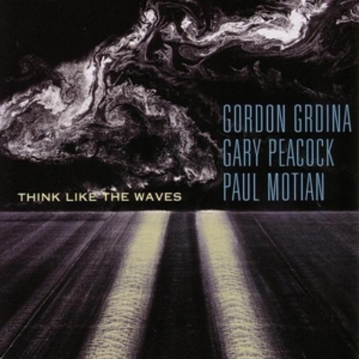Gordon Grdina/Gary Peacock/Paul Motian – Think Like The Waves