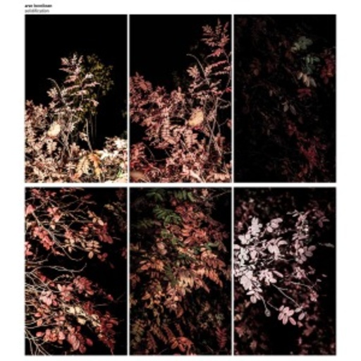 Arve Henriksen – Solidification