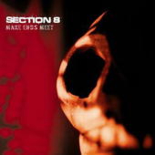 Section 8 – Make End Meets