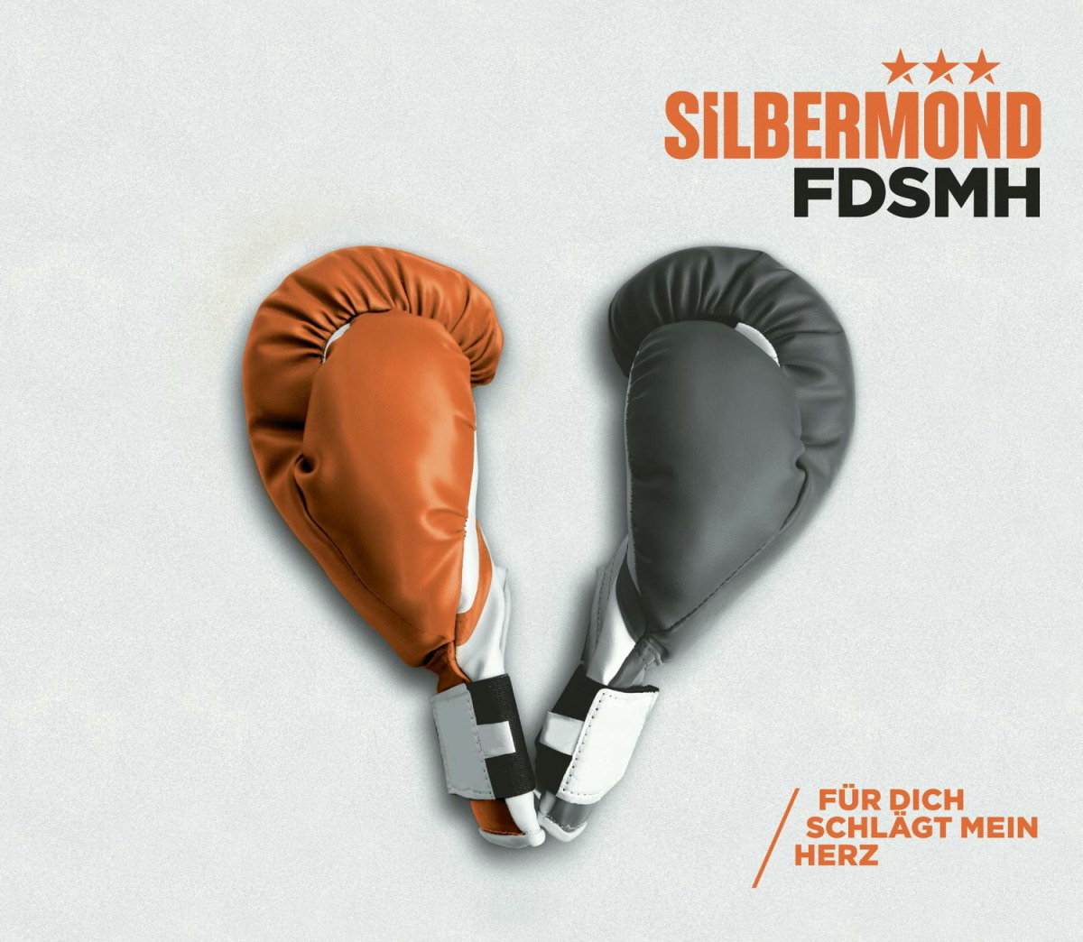 Silbermond – FDSMH - Für dich schlägt mein Herz