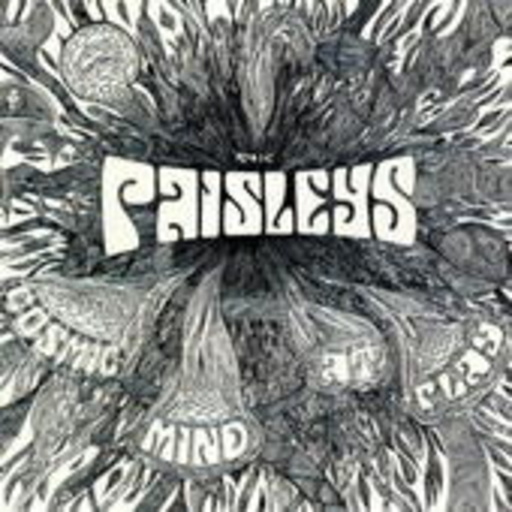The Paisleys – Cosmic Mind At Play