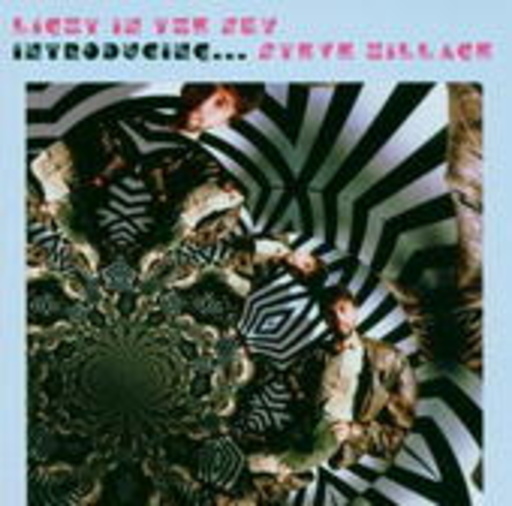 Steve Hillage – Introducing