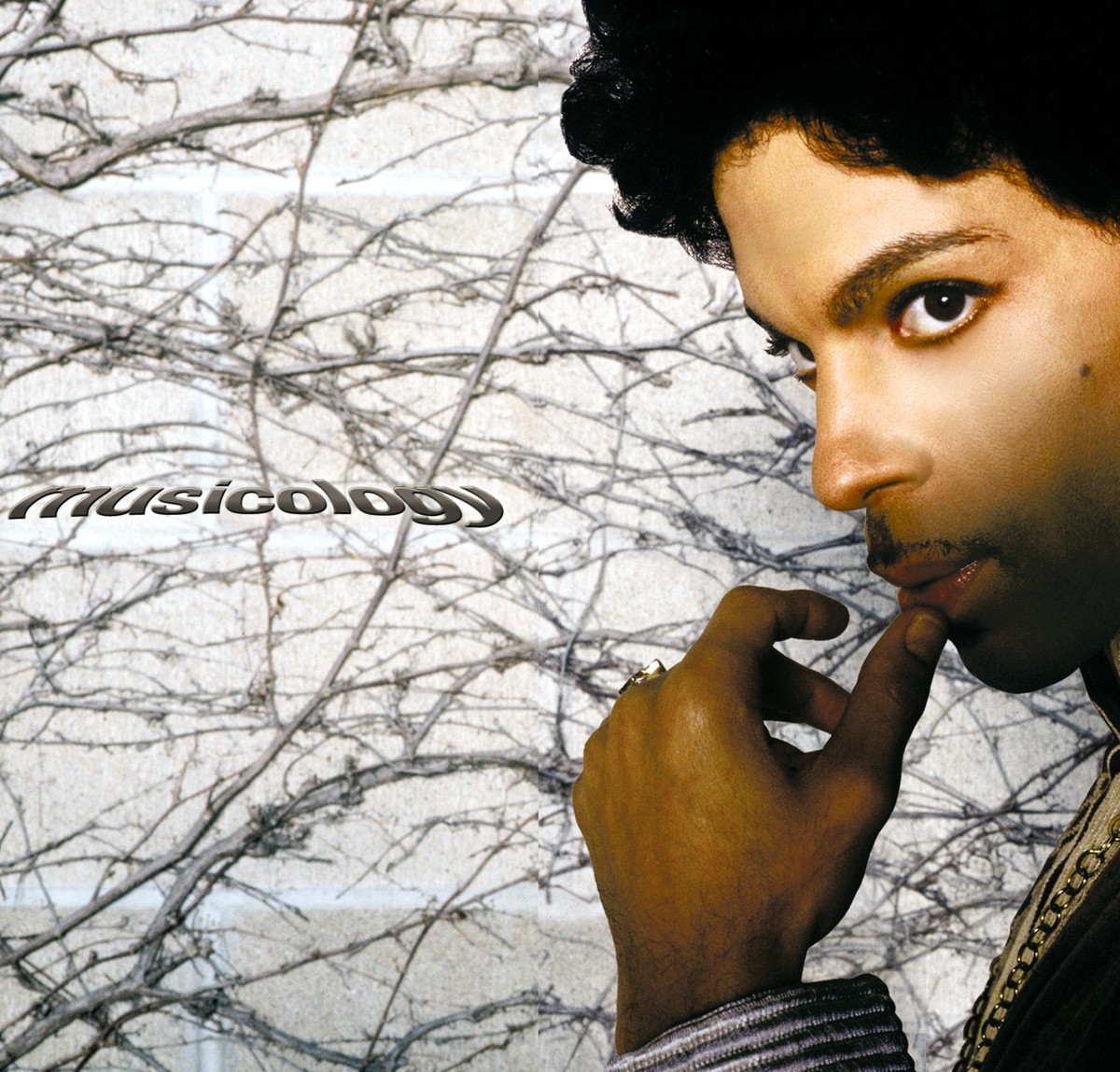 Prince – Musicology