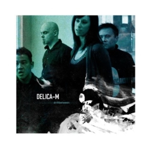 Delica-M – Driftbetween