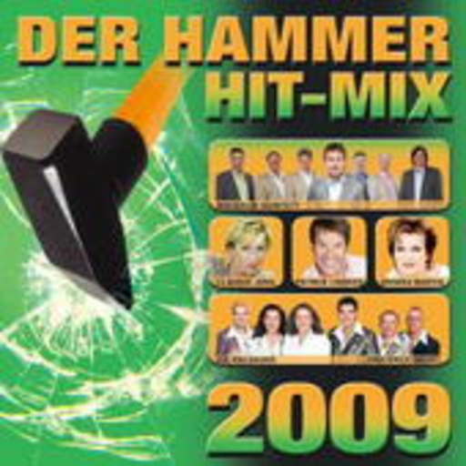 Der Hammer Hit-Mix 2009