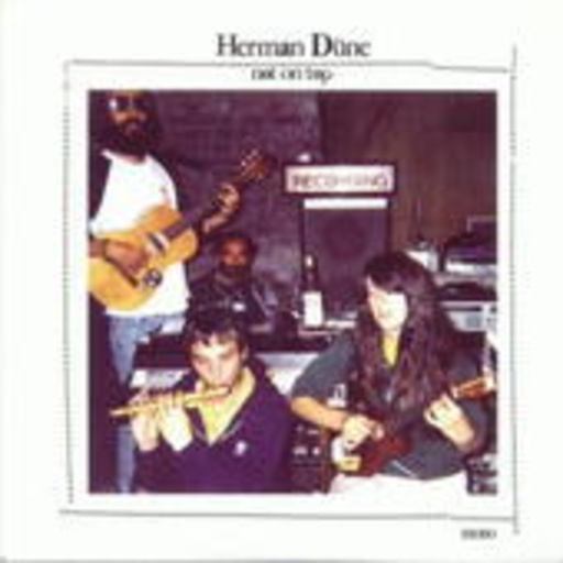 Herman Düne – Not On Top