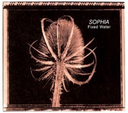 Sophia – Fixed Water
