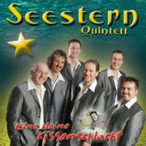 Seestern Quintett – Eine kleine Kissenschlacht