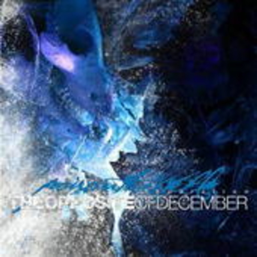 Poison The Well – The Opposite Of December