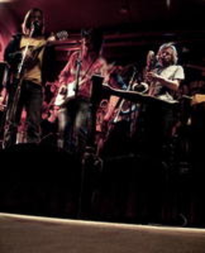 Garantieren energetische Liveshows: Friska Viljor
