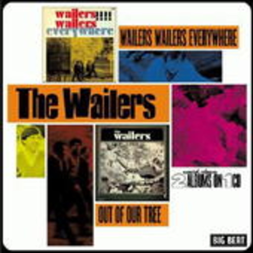 The Wailers – Everywhere/Out Of Our Tree