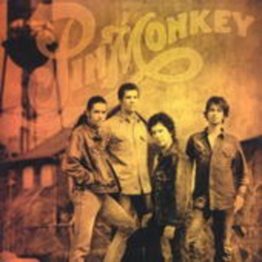 Pinmonkey – Pinmonkey