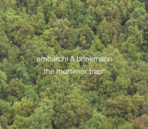 Thomas Brinkmann & Oren Ambarchi – The Mortimer Trap