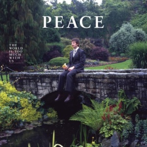 Peace – The World Is Too Much With Us