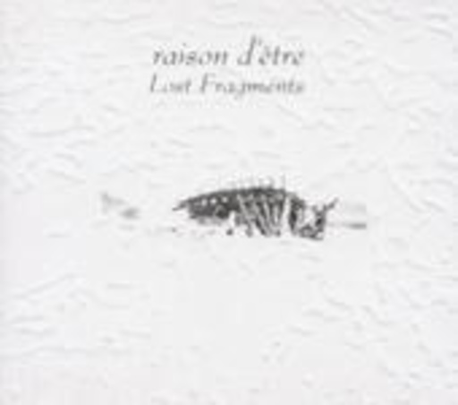 Raison D'Etre – Lost Fragmemts