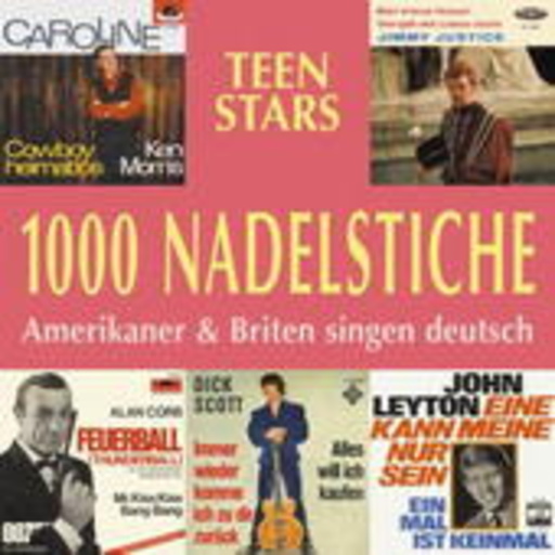 Diverse – 1000 Nadelstiche - Amerikaner & Briten singen deutsch Vol. 5 - Teen Stars