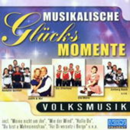 Diverse – Musikalische Glücksmomente - Volksmusik