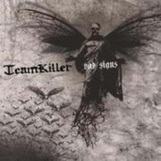Teamkiller – Bad Signs