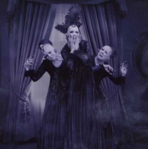 Sopor Aeternus & The Ensemble Of Shadows – Have You Seen This Ghost?