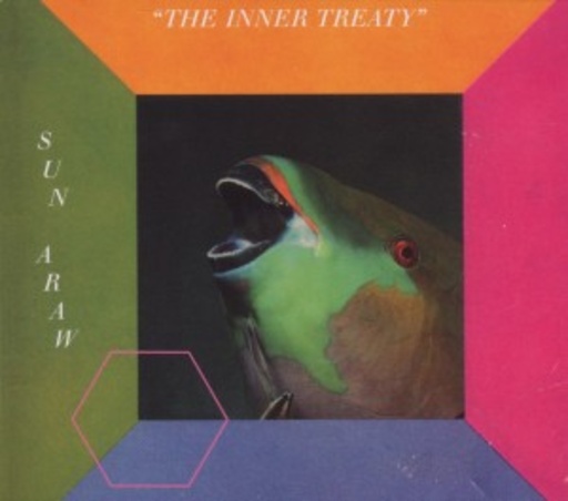 Sun Araw – The Inner Treaty