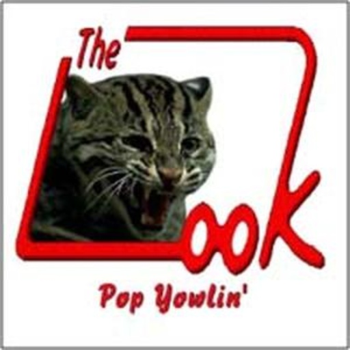 Look – Pop Yowlin'