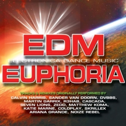 Diverse – EDM Euphoria - Electronica Dance Music