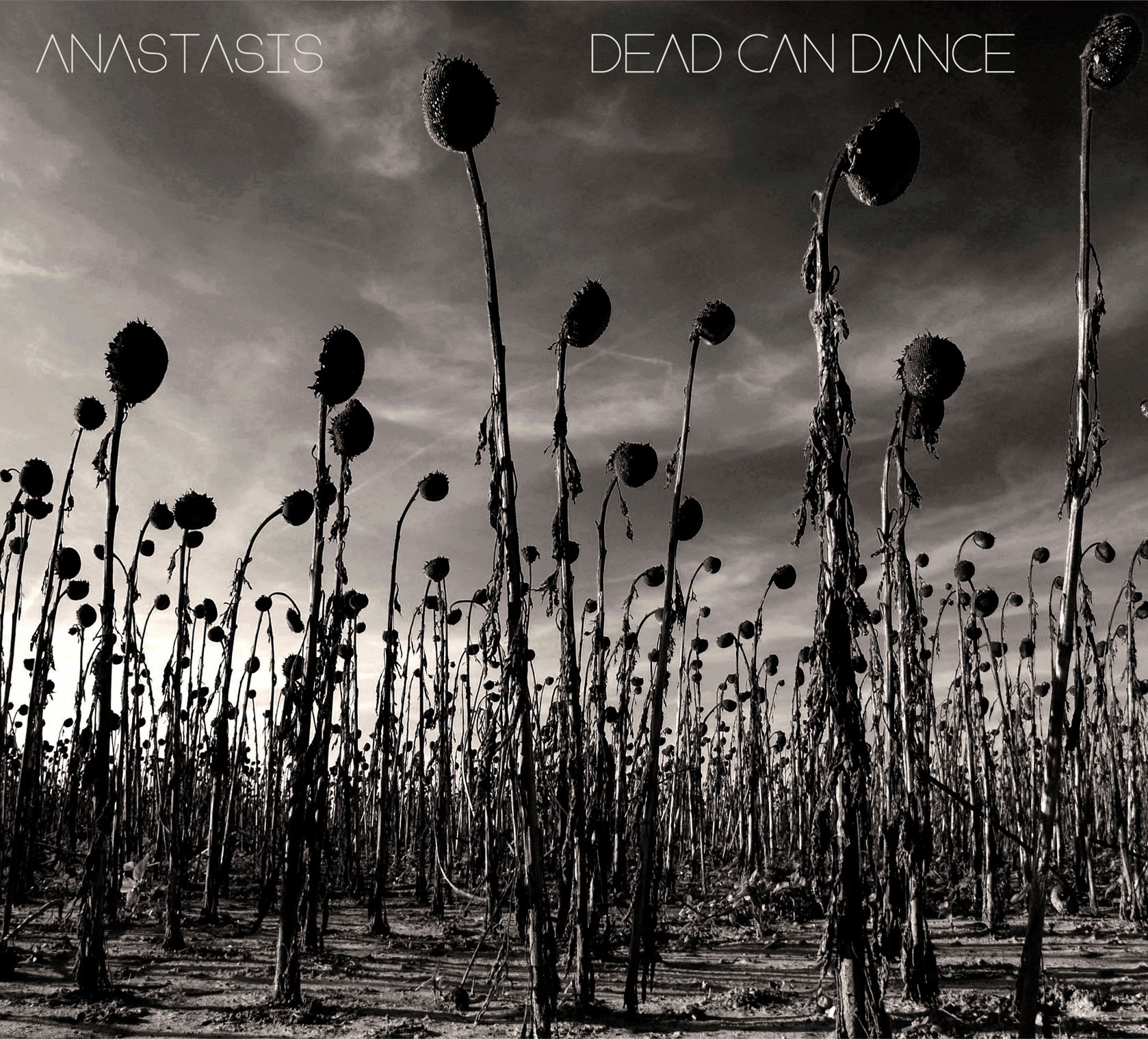 Dead Can Dance – Anastasis