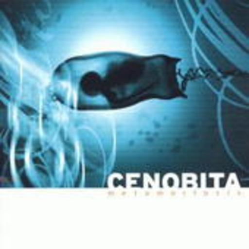 Cenobita – Metamorfosis