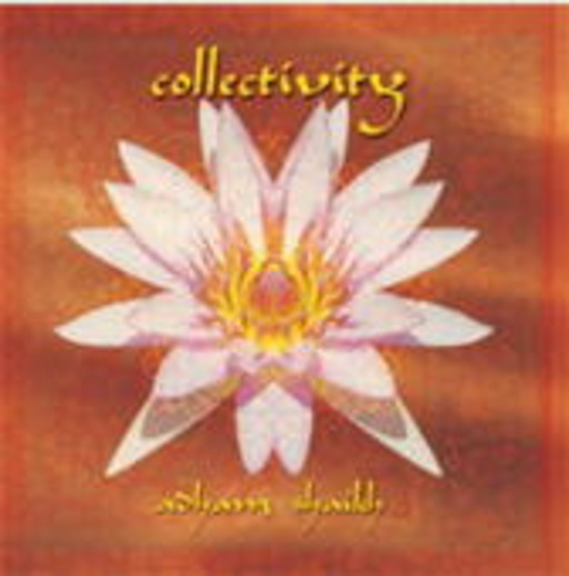 Adham Shaikh – Collectivity