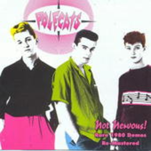 Polecats – Not Nervous! Rare 1980 Demos