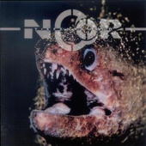 Ncor – Tiefenrausch