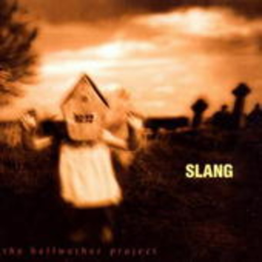 Slang – The Bellwether Project