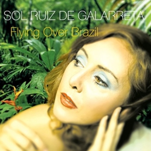 Sol Ruiz De Galarreta – Flying Over Brazil