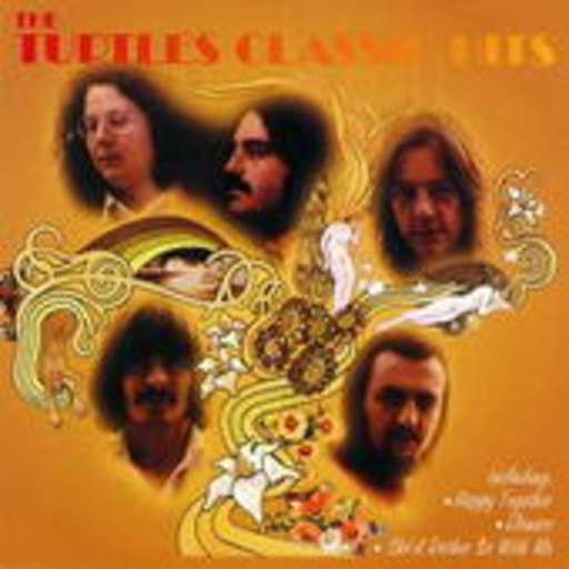 Turtles – 25 Classic Hits