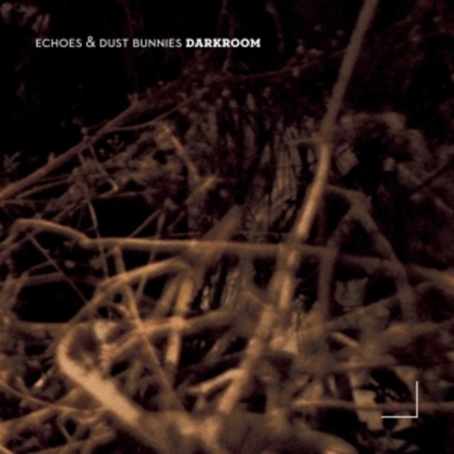 Echos & Dust Bunnies – Darkroom
