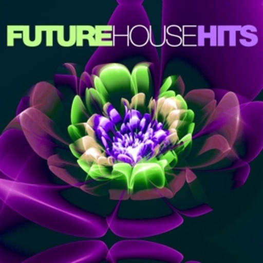 Diverse – Future House Hits