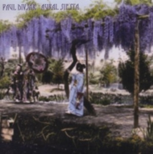 Paul Divjak – Aural Siesta
