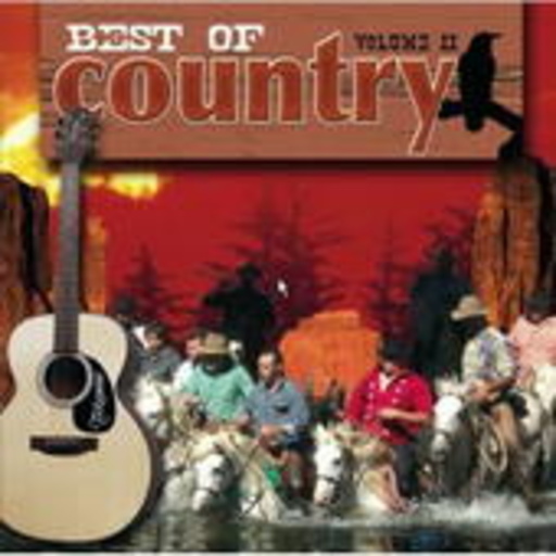 Best Of Country & Line Dancing Vol. 2