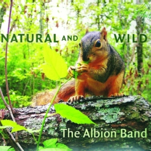 Albion Band – Natural And Wild