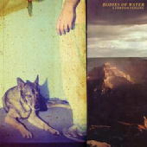 Bodies Of Water – A Certain Feeling