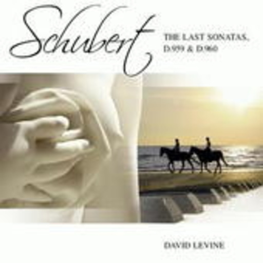 David Levine – The Last Sonatas