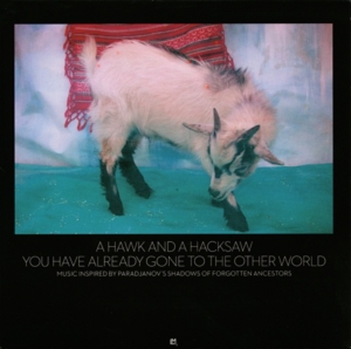 A Hawk And A Hacksaw – You Have Already Gone To The Other World