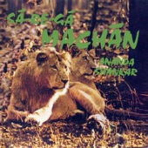 Ananda Shankar – Sa Re Ga Machan